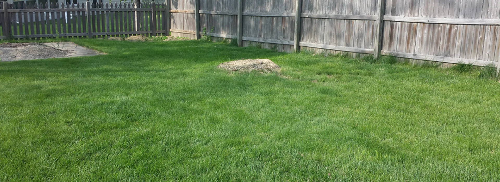 2 Guys Tree Service gallery 3