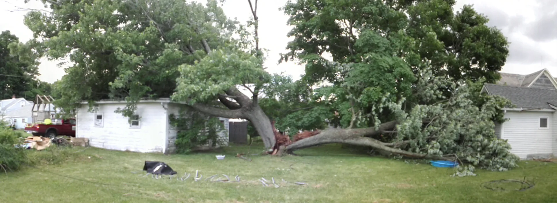 2 Guys Tree Service gallery 4