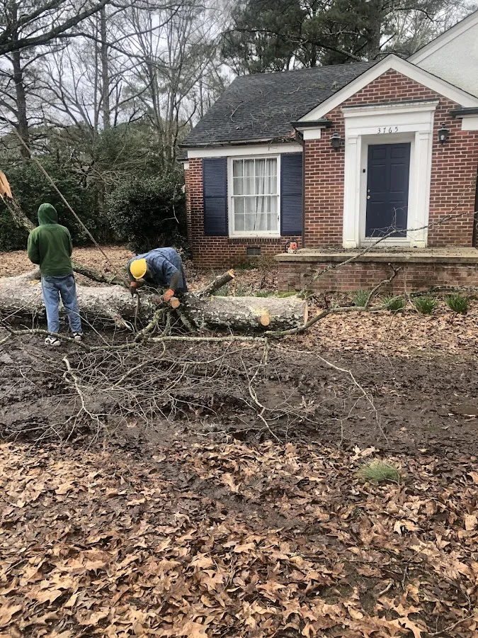 A-1 Discount Tree & Lawn Service