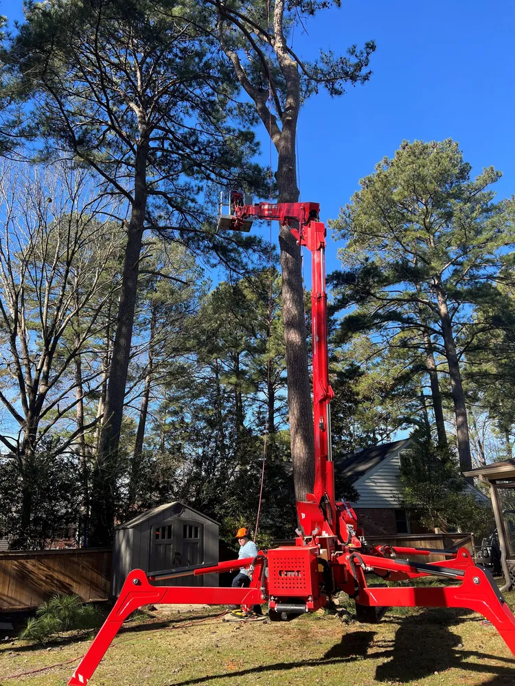 A Atlantic Tree Service gallery 3