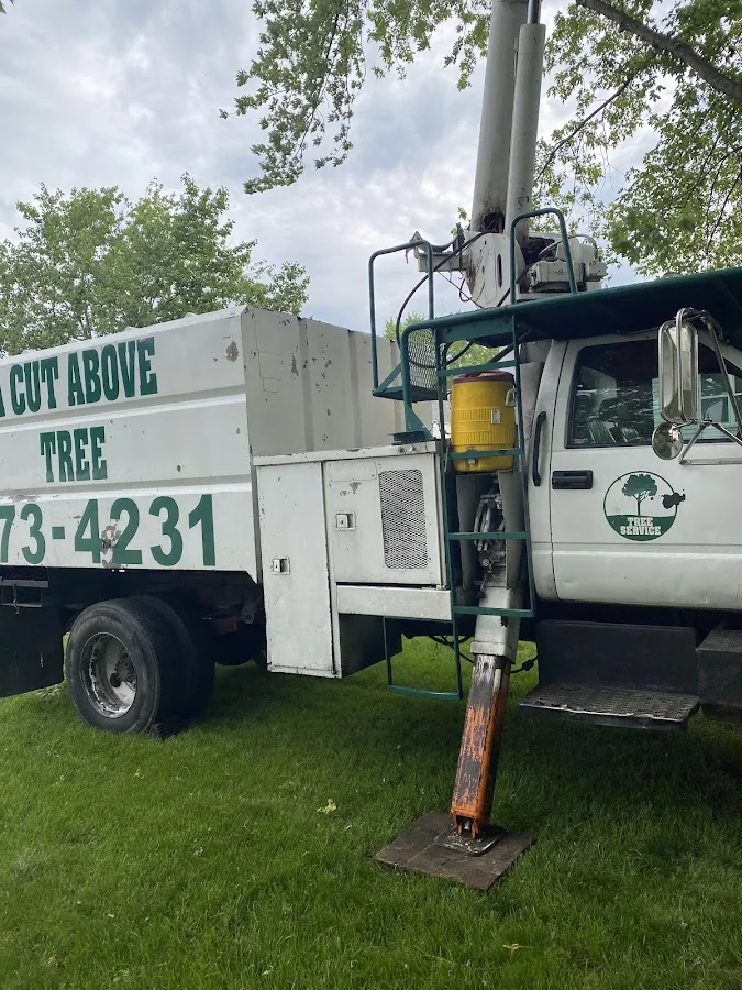 A Cut Above Tree Service work site