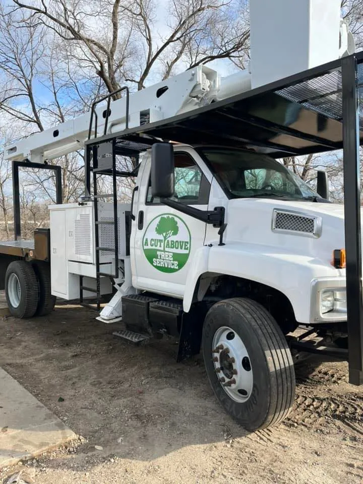 A Cut Above Tree Service gallery 3