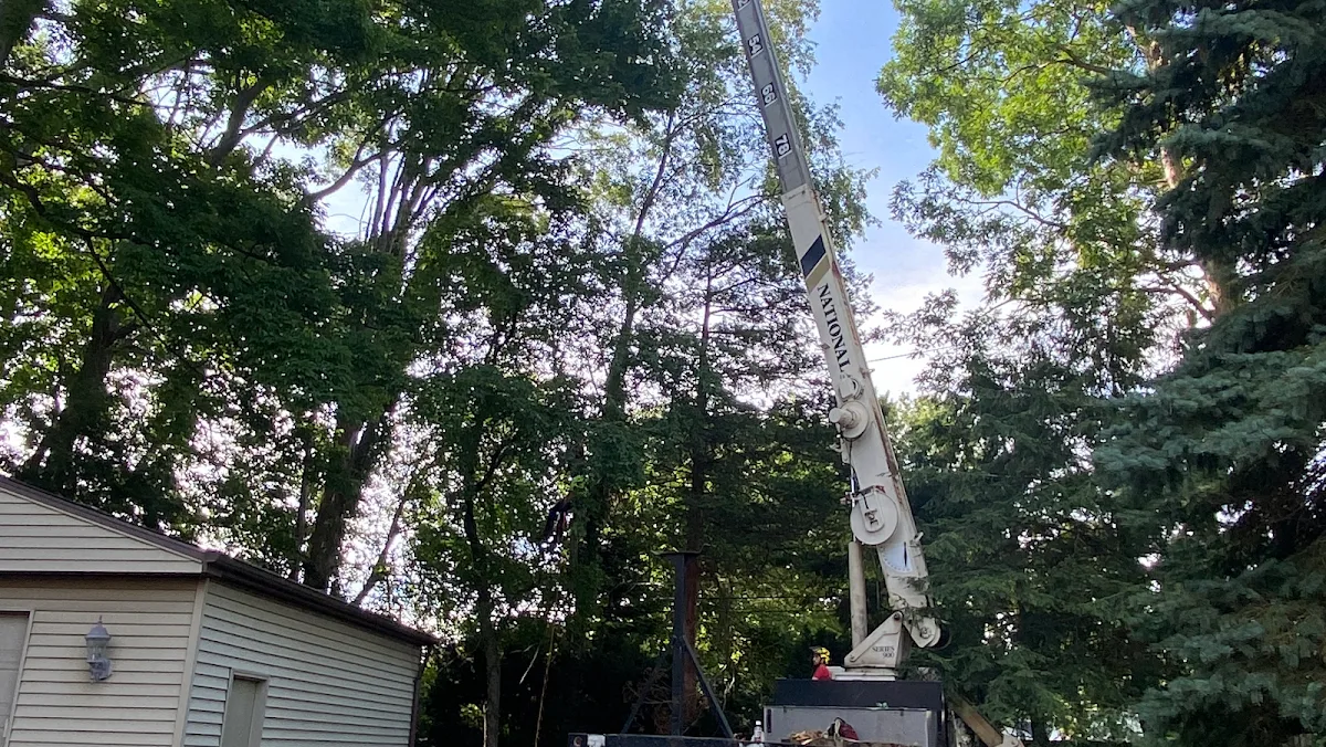 A&S TREE SERVICE,LLC