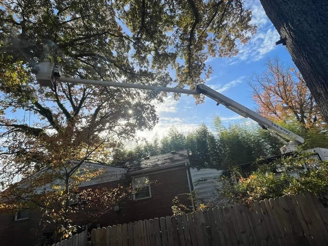 A Top To Bottom Tree & Lawn Service gallery 8
