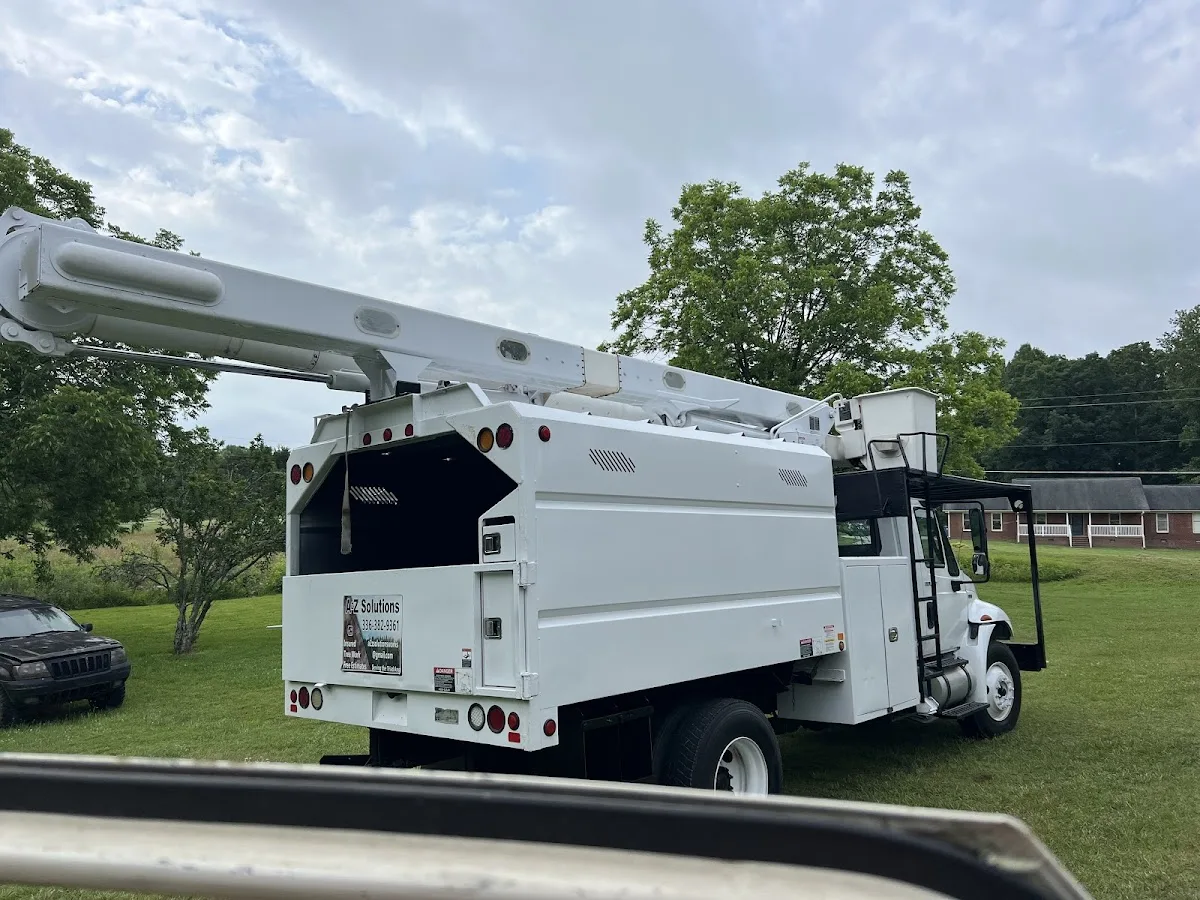 A2Z Solutions Tree Service LLC gallery 2