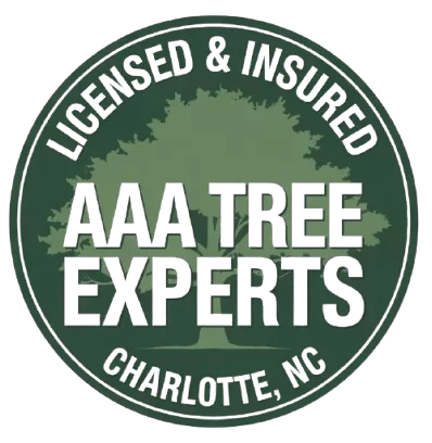 AAA Tree Experts gallery 6