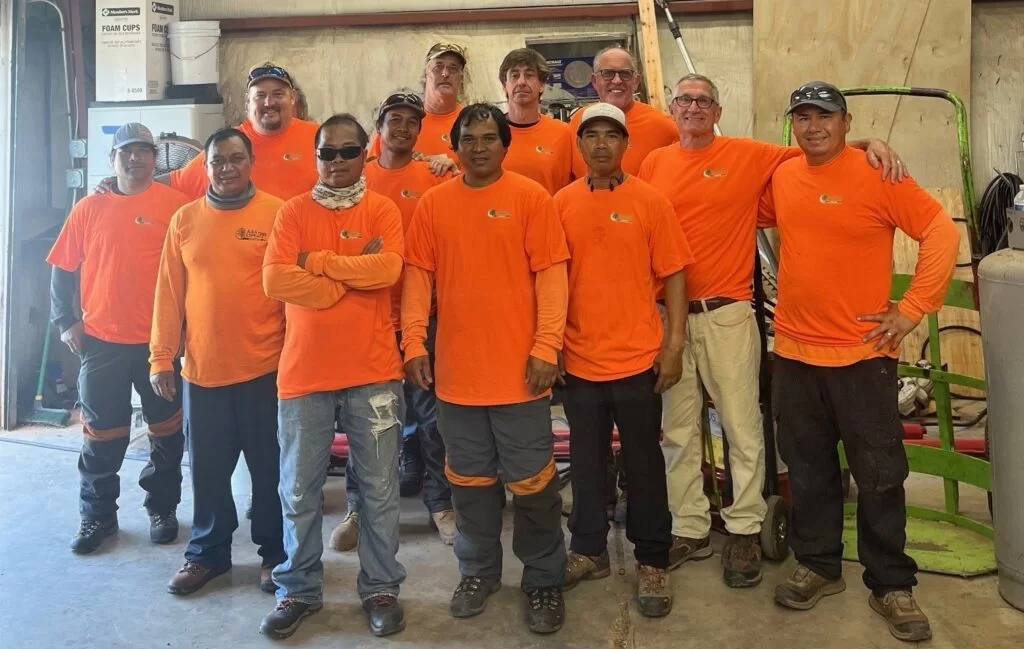 AAA Tree Experts gallery 8