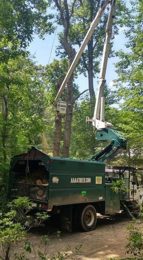 AAA Tree Service