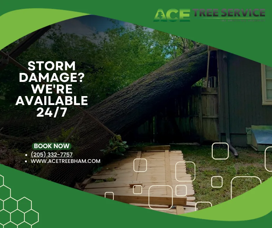 ACE Tree Service gallery 2