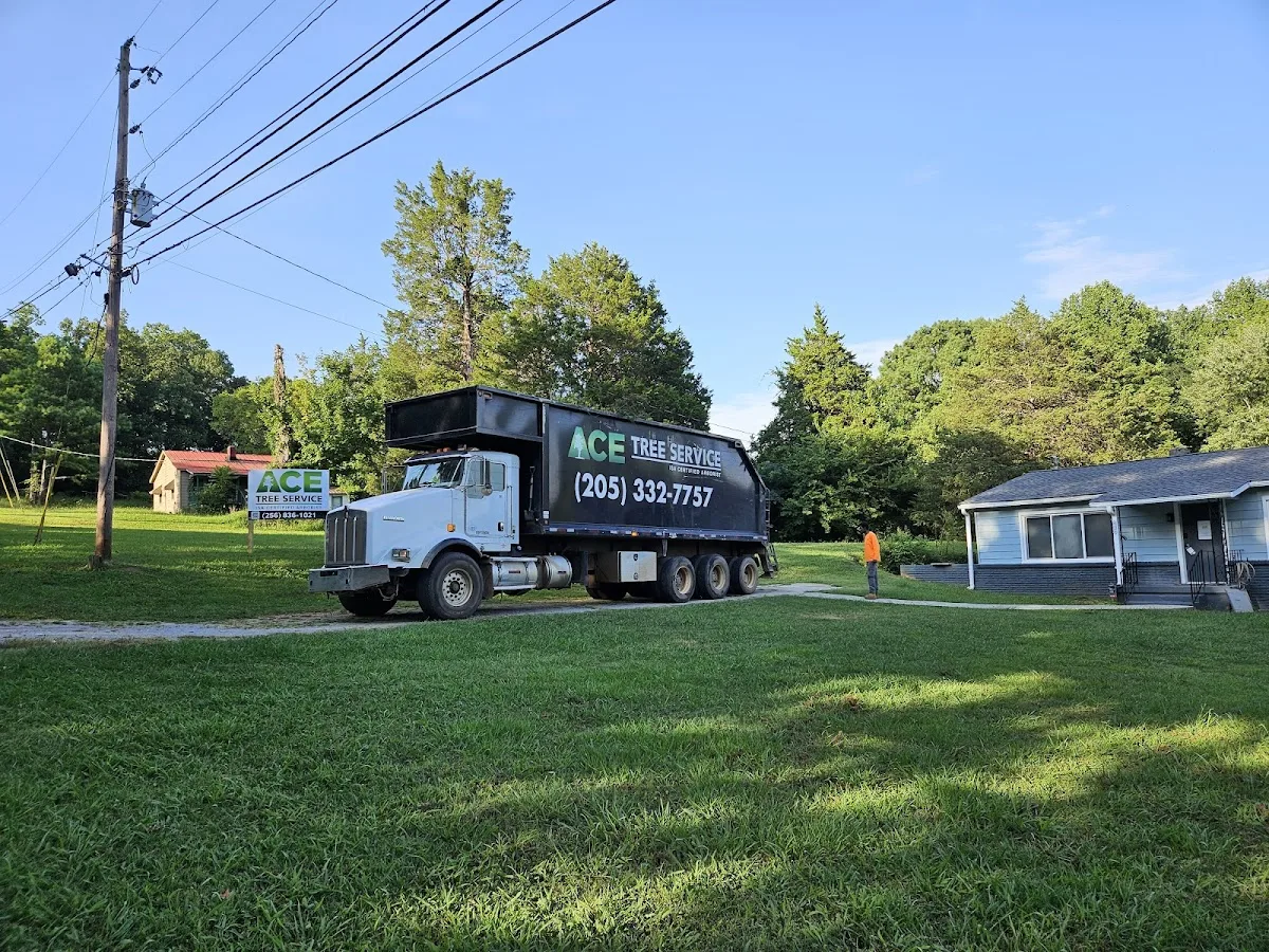 ACE Tree Service