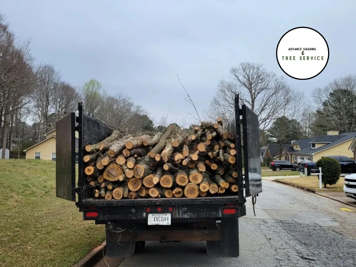 Advance Grading & Tree Service gallery 2