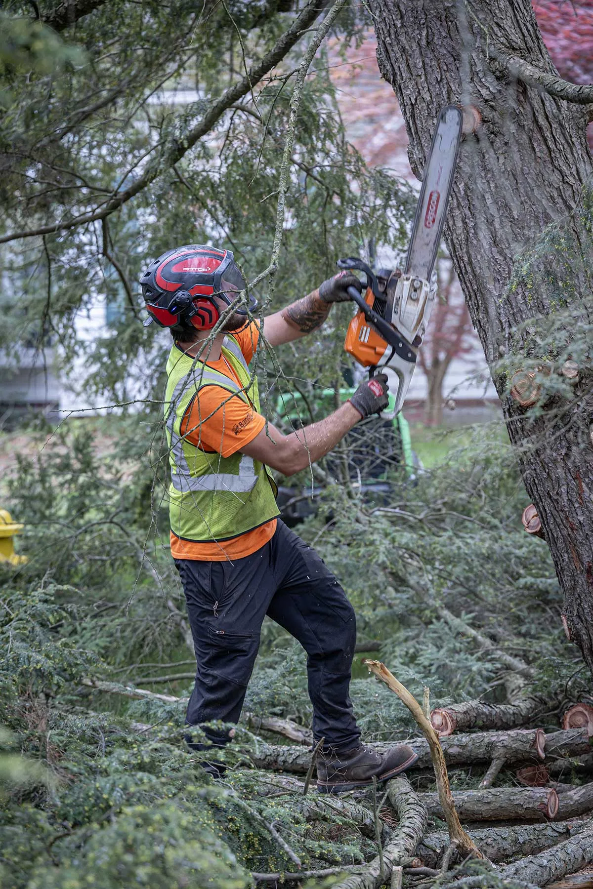 Advantage Tree Service gallery 6