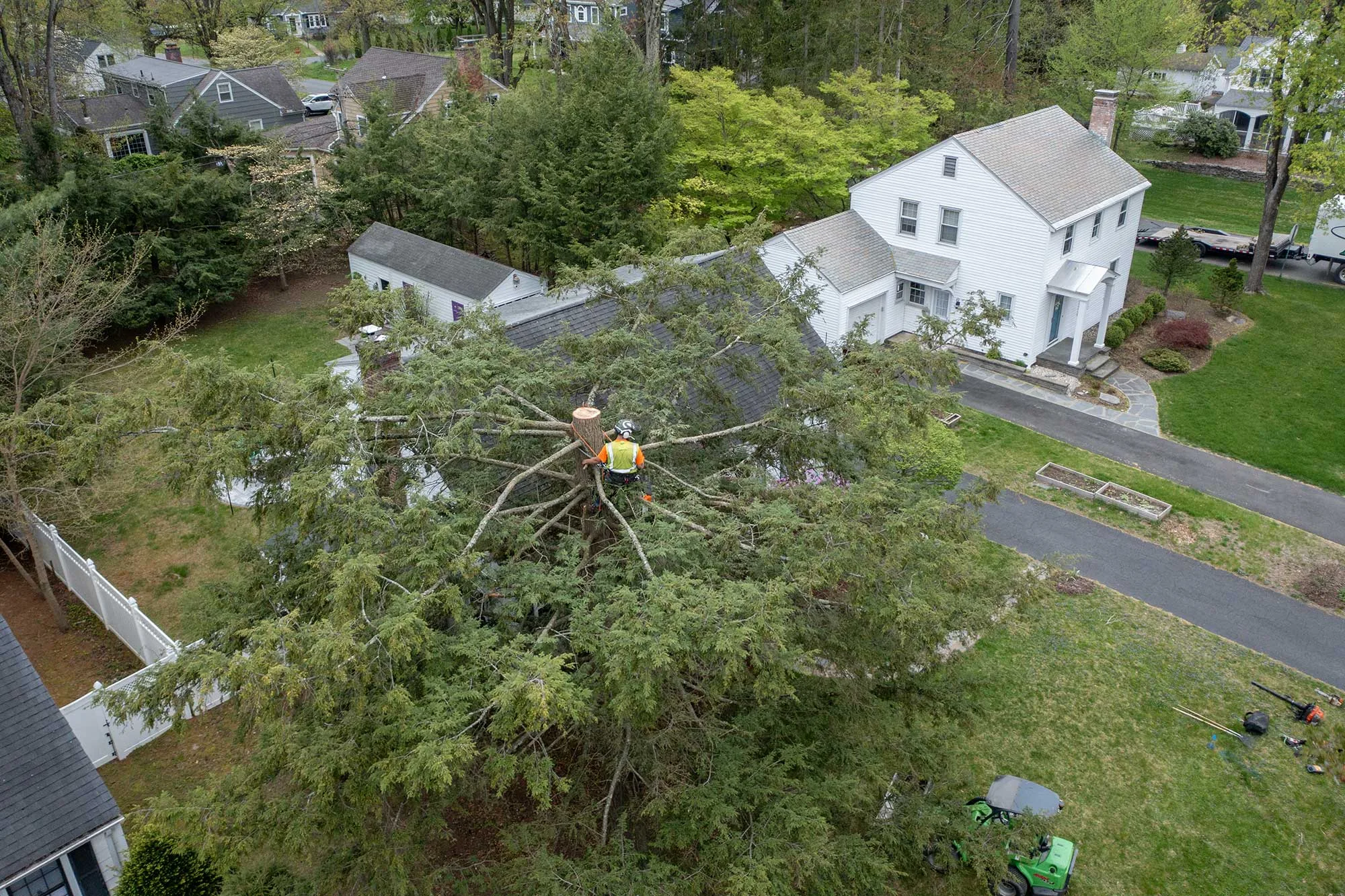 Advantage Tree Service gallery 7