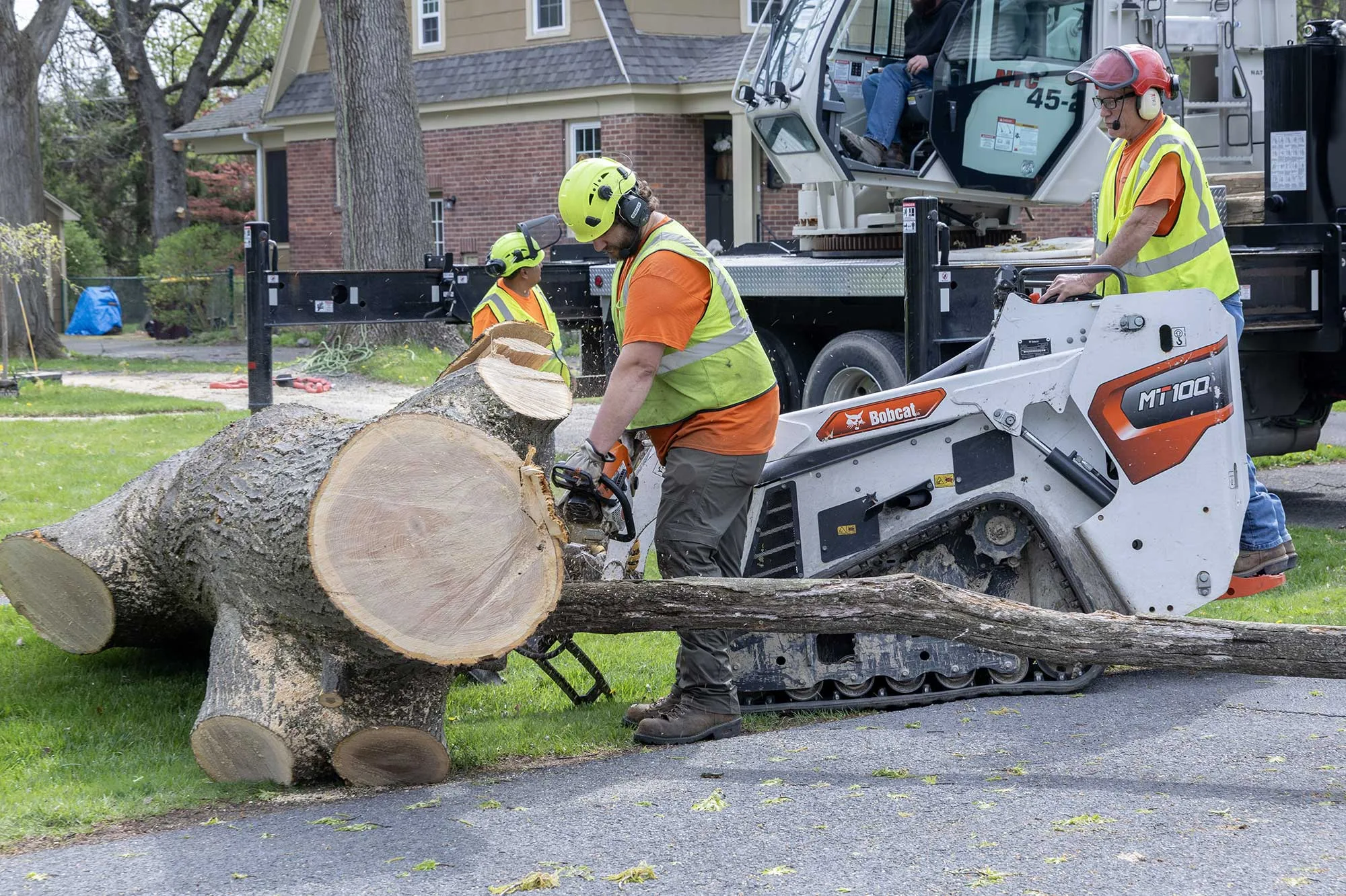 Advantage Tree Service gallery 8