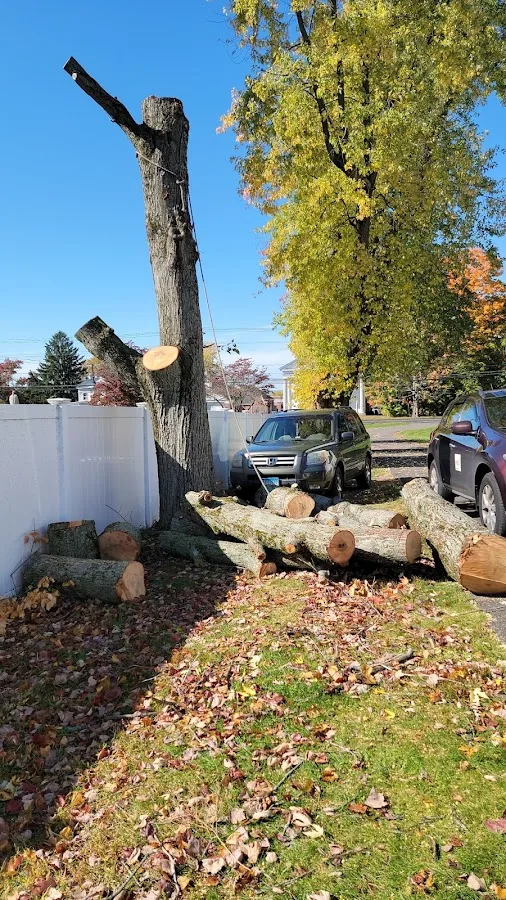 Affordable Tree Care, Inc