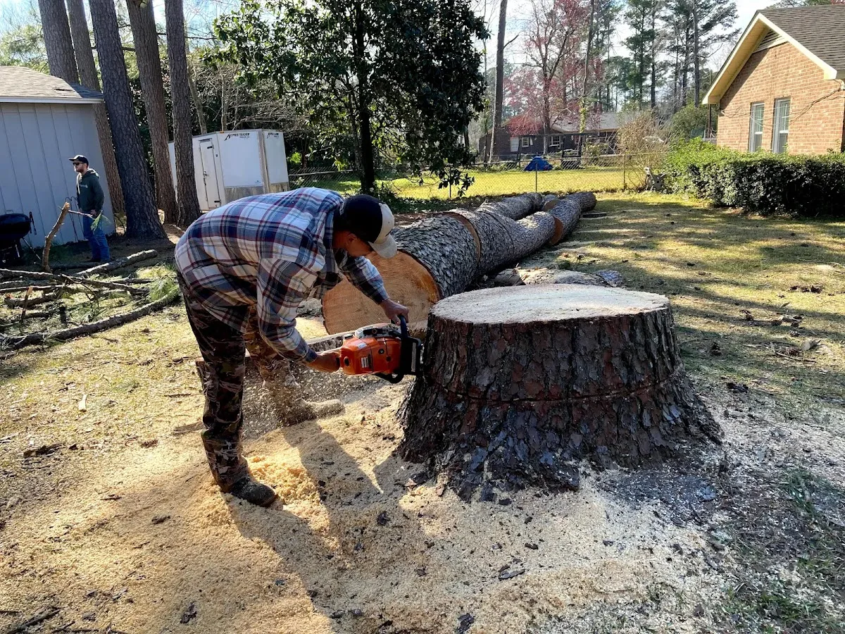 Affordable Tree Service Charlotte gallery 2