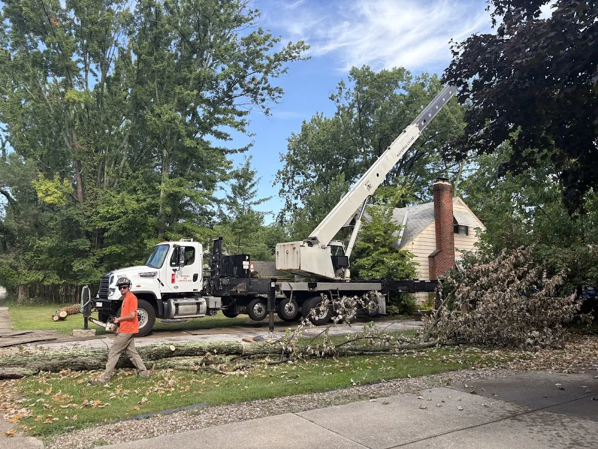 Affordable Tree Services of Ohio LLC