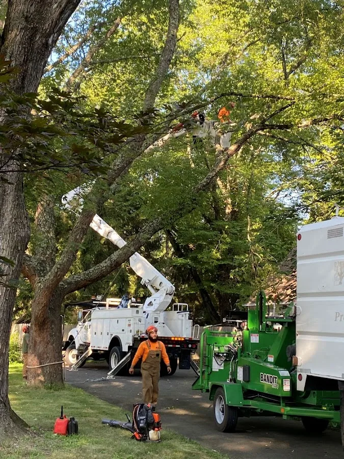 AG Tree & Maintenance Services Inc.