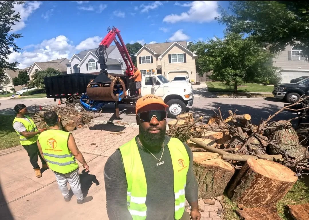 AJ's Tree Removal gallery 2