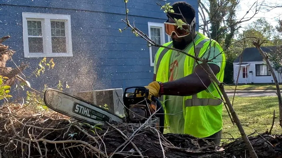 AJ's Tree Removal gallery 3