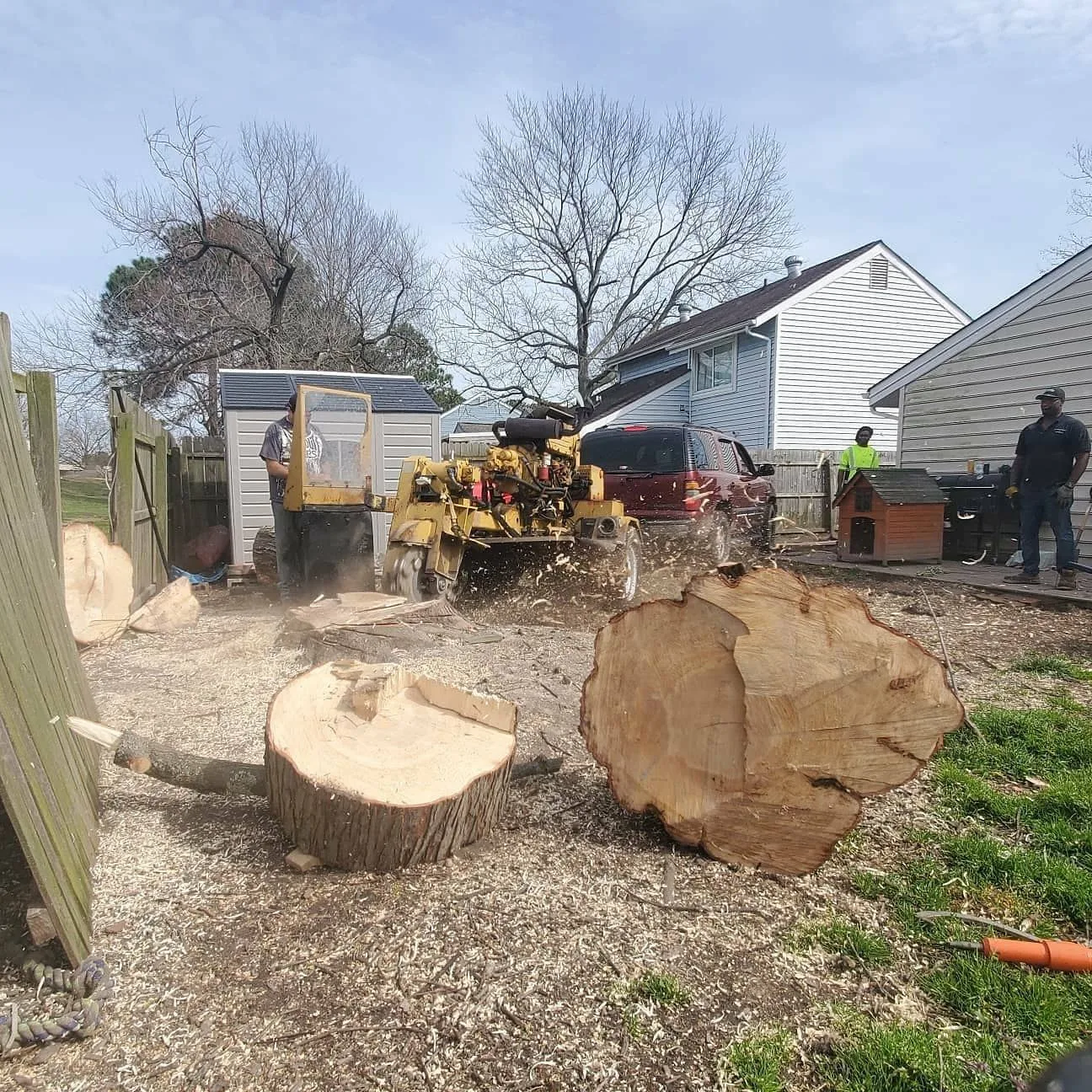 AJ's Tree Removal gallery 4