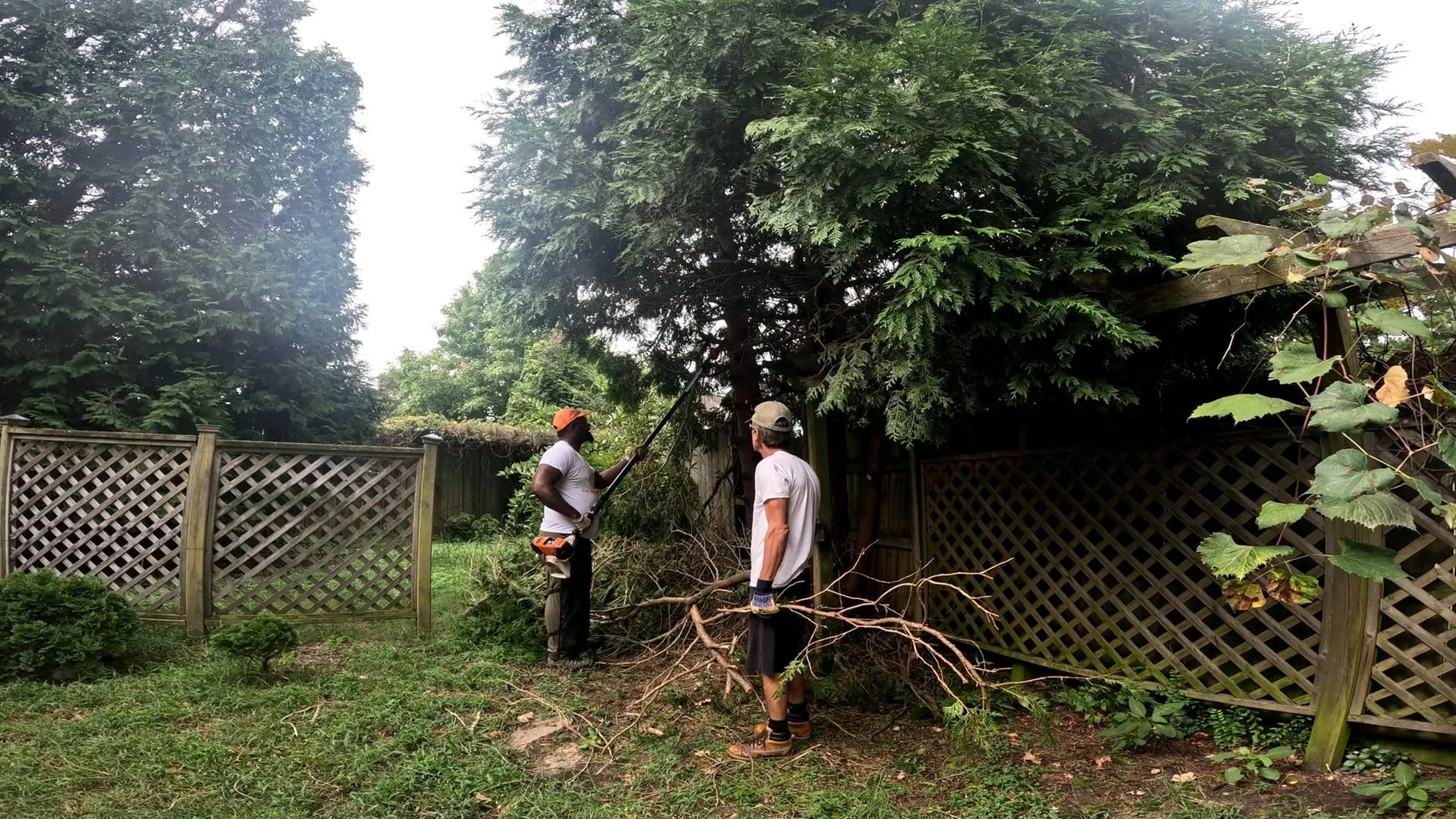 AJ's Tree Removal gallery 7
