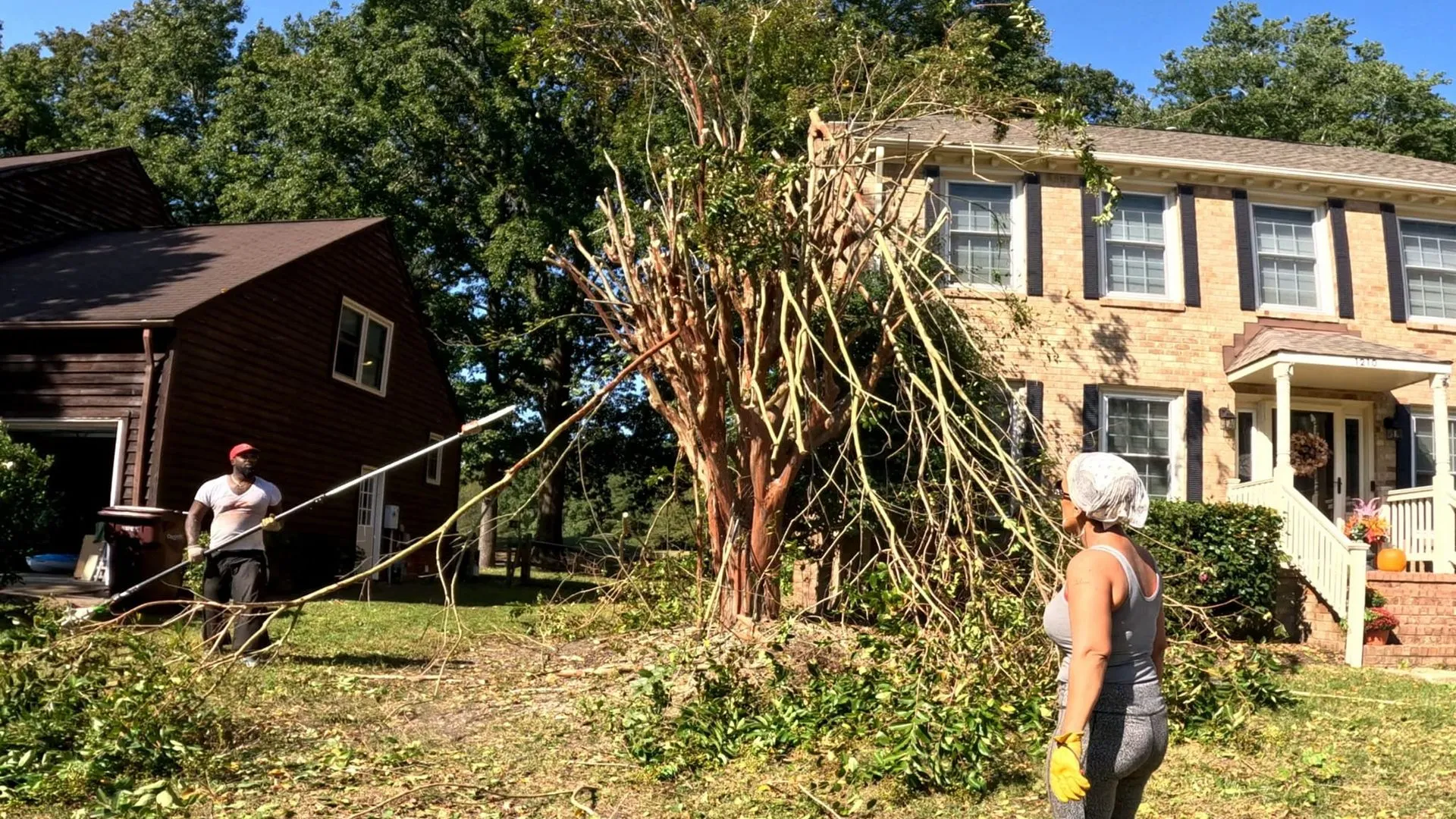 AJ's Tree Removal gallery 8