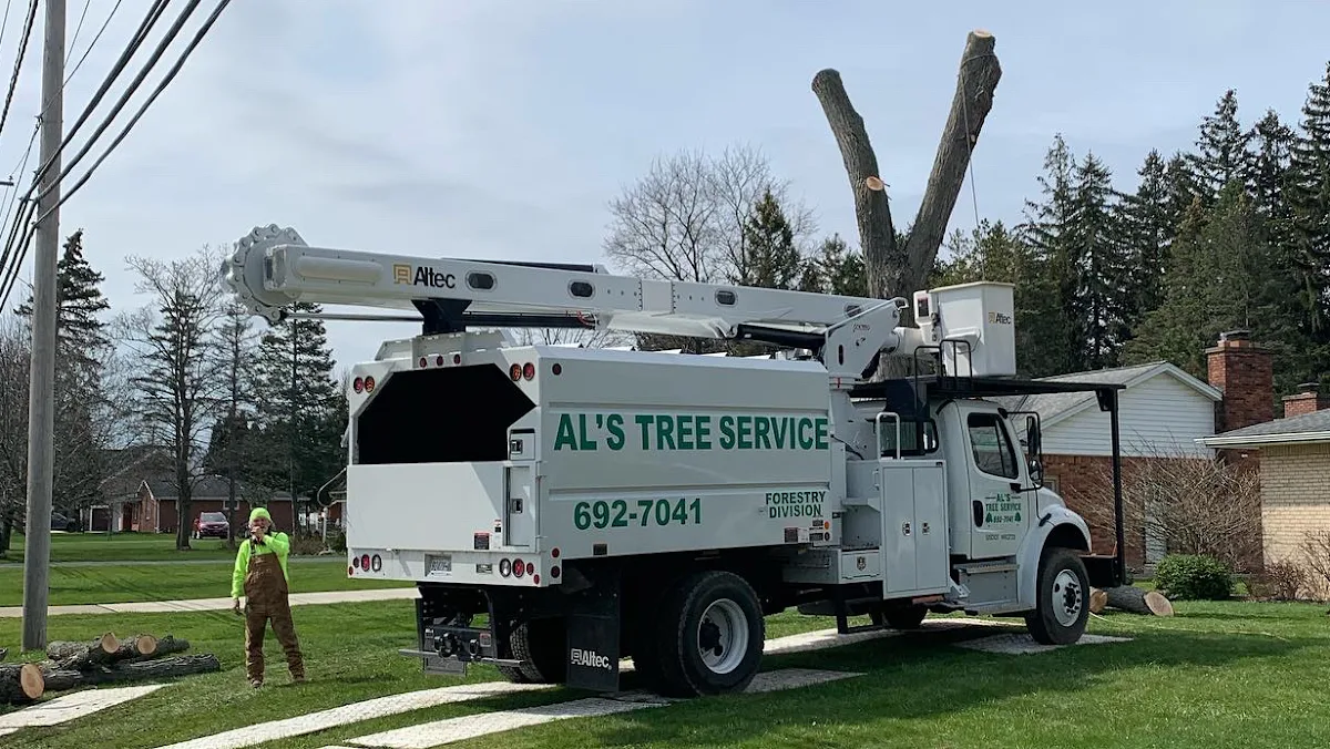 Al's Tree Service gallery 2