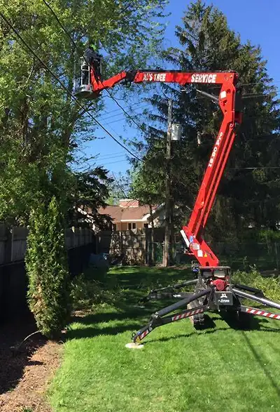 Al's Tree Service gallery 3