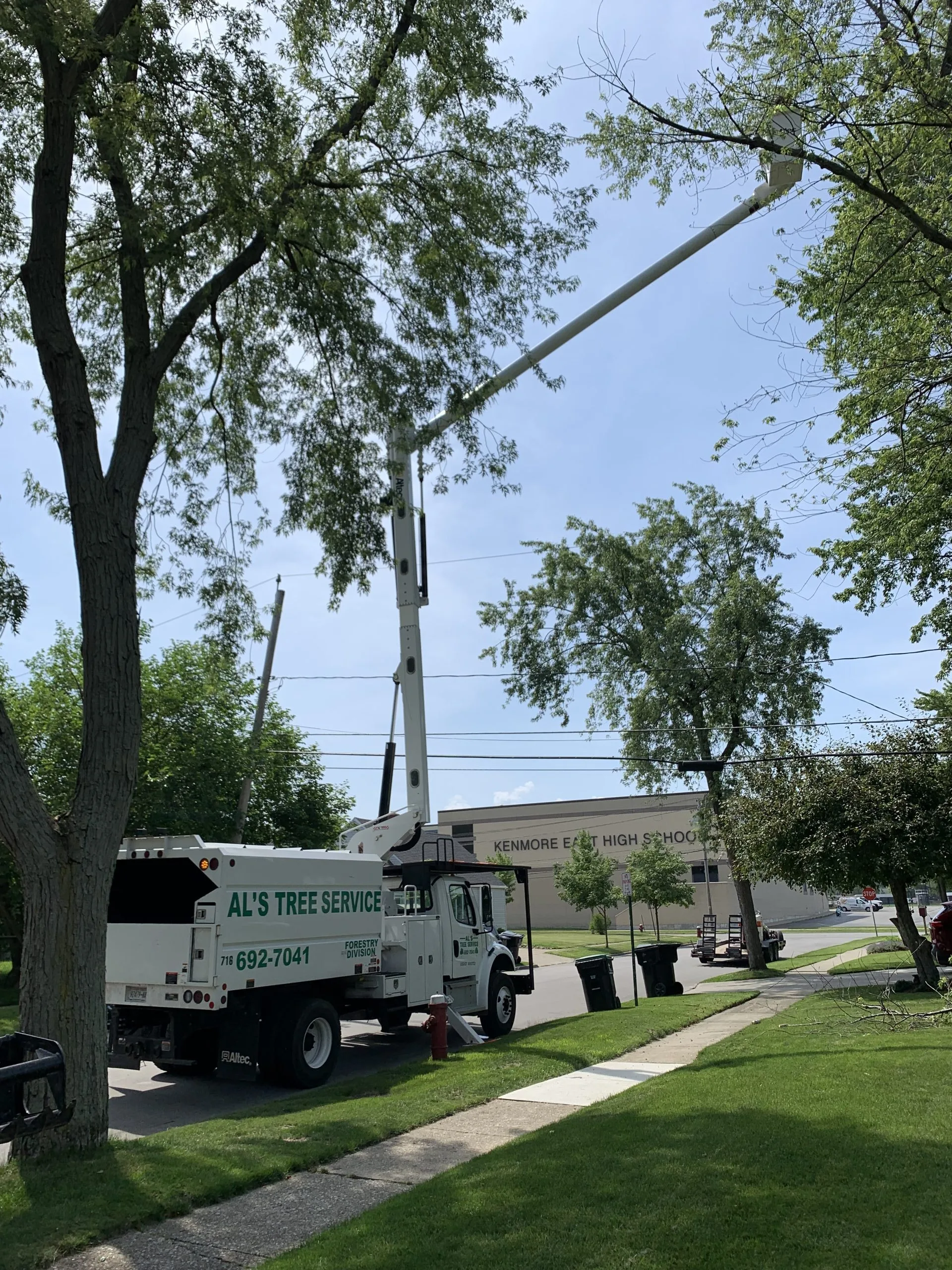 Al's Tree Service gallery 4