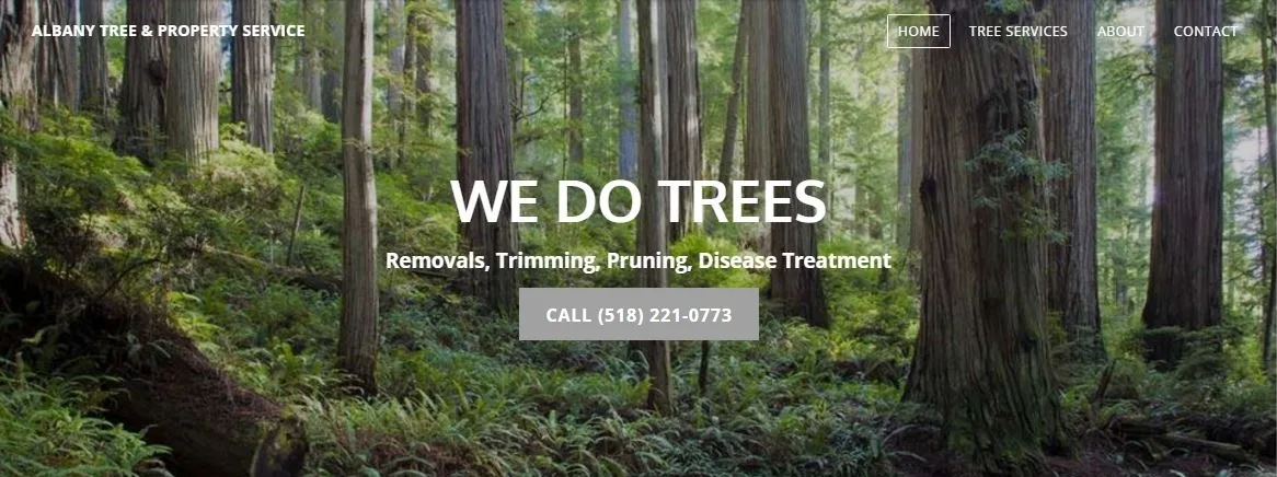 Albany Tree Service gallery 2