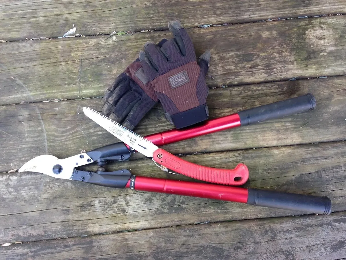 All Points Tree Service INC gallery 4