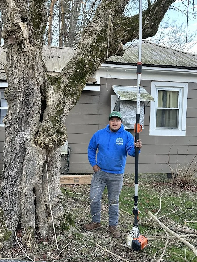 All Season Tree Service