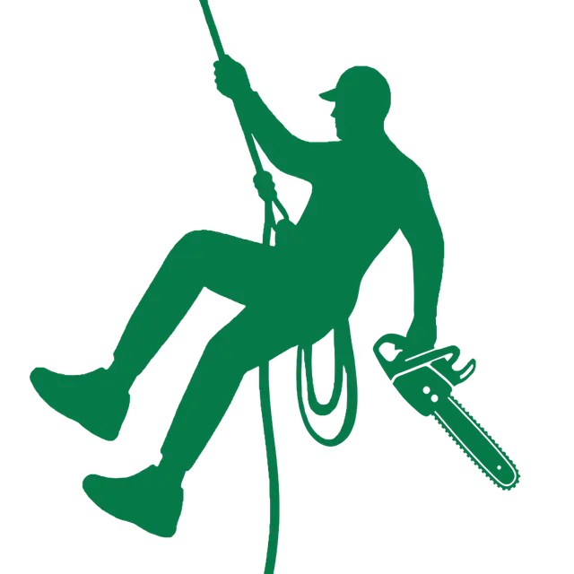 All season tree service gallery 5