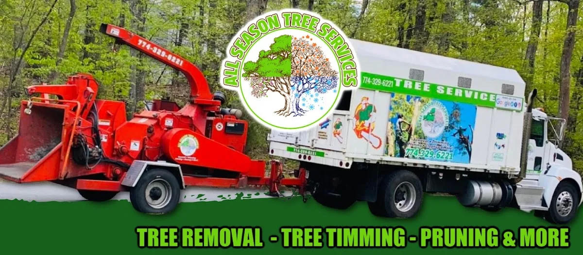 All season tree services gallery 2