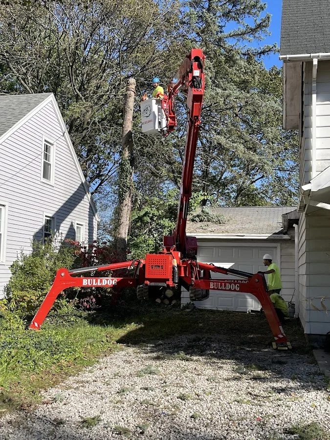 All Seasons Tree Care