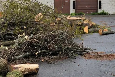 All Seasons Tree Services NY gallery 5