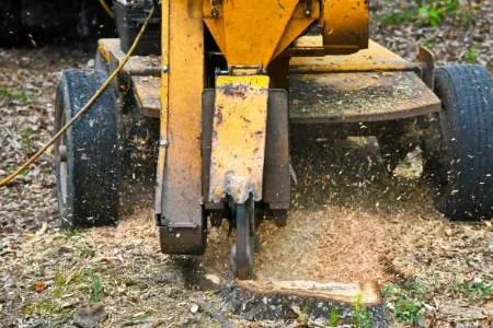 All Seasons Tree Services NY gallery 6