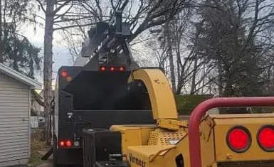 All Seasons Tree Services NY gallery 8