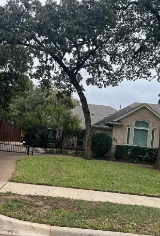 Alvarado Tree Service