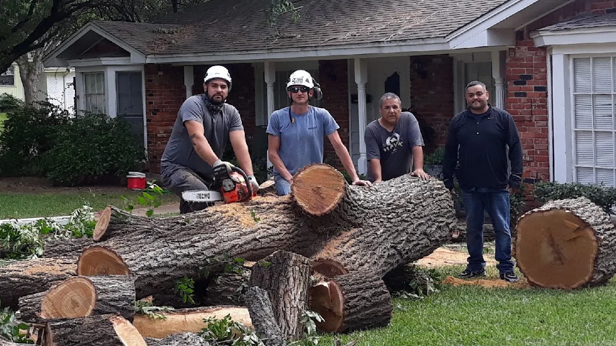 Alvarez Tree Service