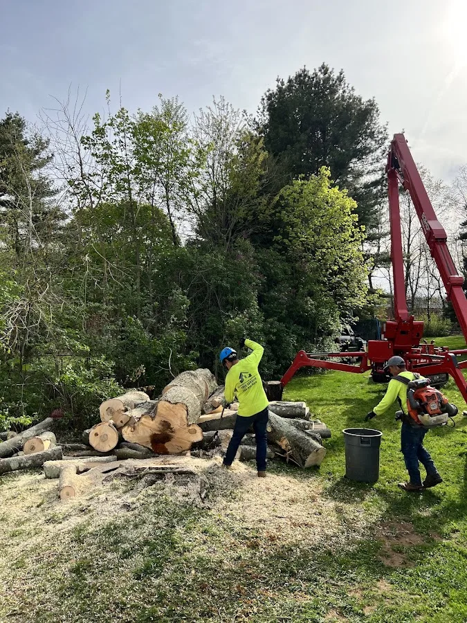ALX Tree Service