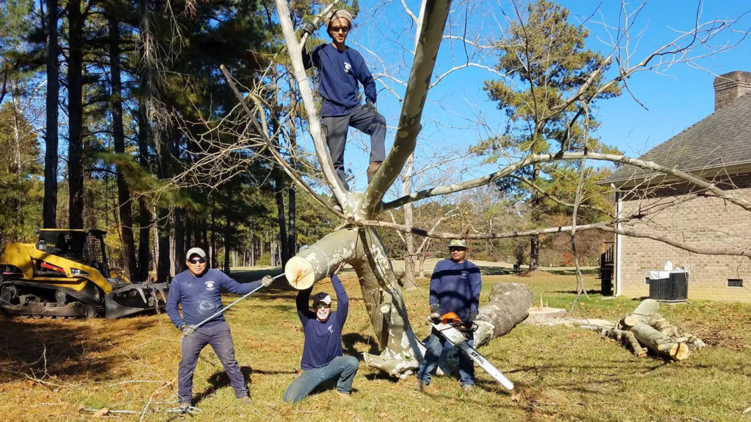 Amazon Tree Service gallery 8