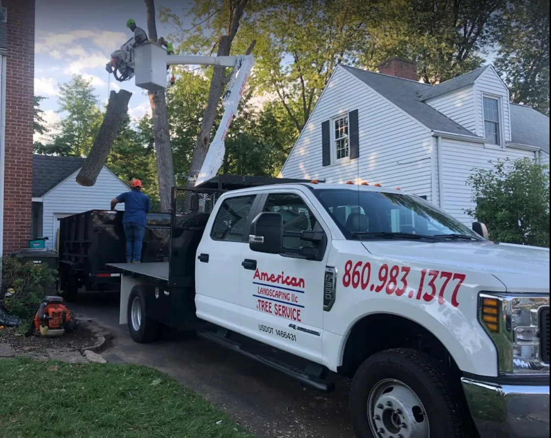 American Landscaping Supreme (Tree Service) in West Hartford, CT: How to Match a Tree Removal Quote to the Real Scope