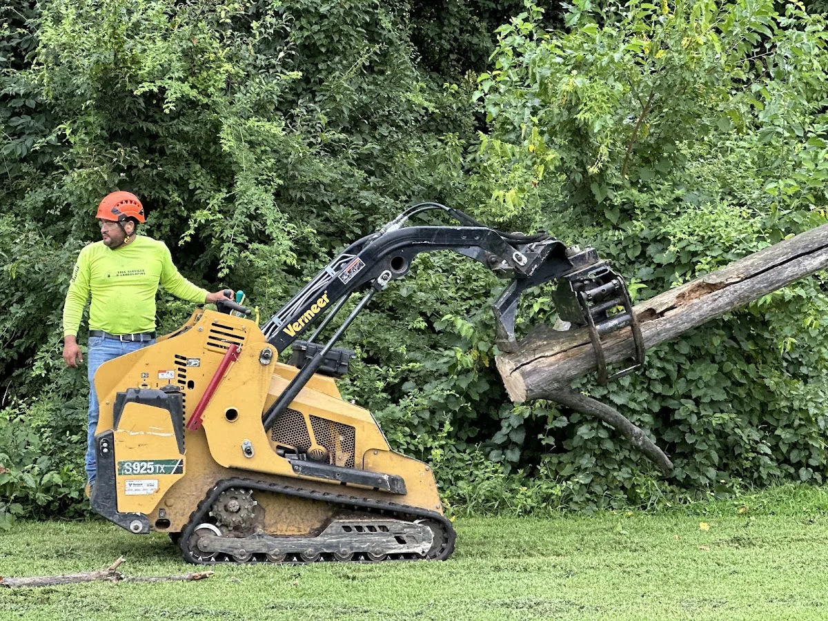 ANGEL'S Tree Service LLC