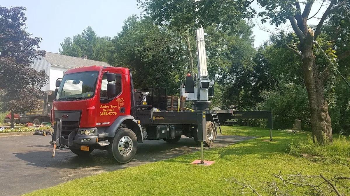 Anjoe Tree Service gallery 2