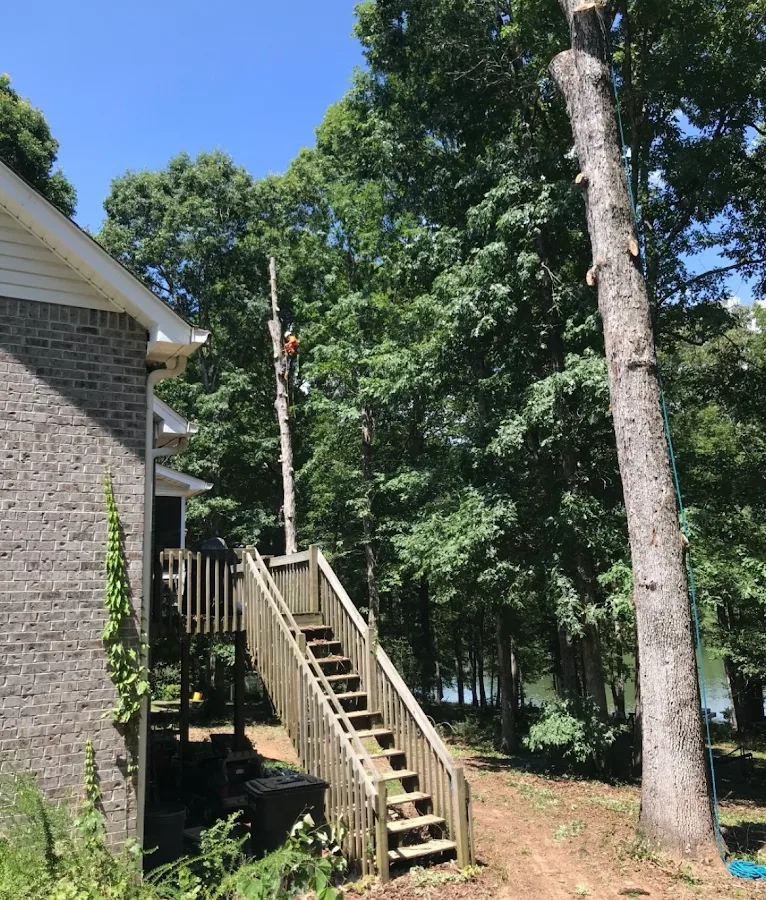 Arbor Care Solutions