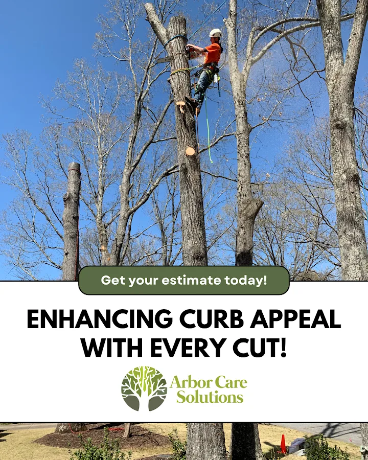 Arbor Care Solutions gallery 2