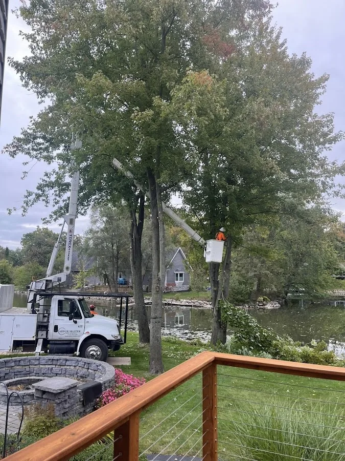 Arbor Master Tree Service Inc gallery 2