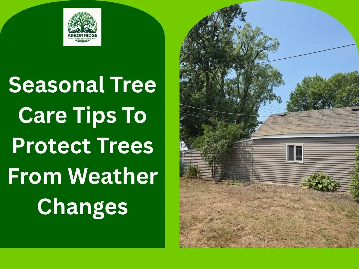 Arbor Ridge Tree service buffalo ny gallery 2